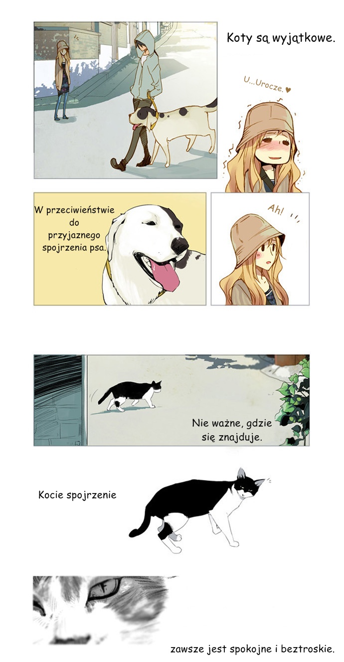 Nineteen, Twenty-One Magnolia 第17页