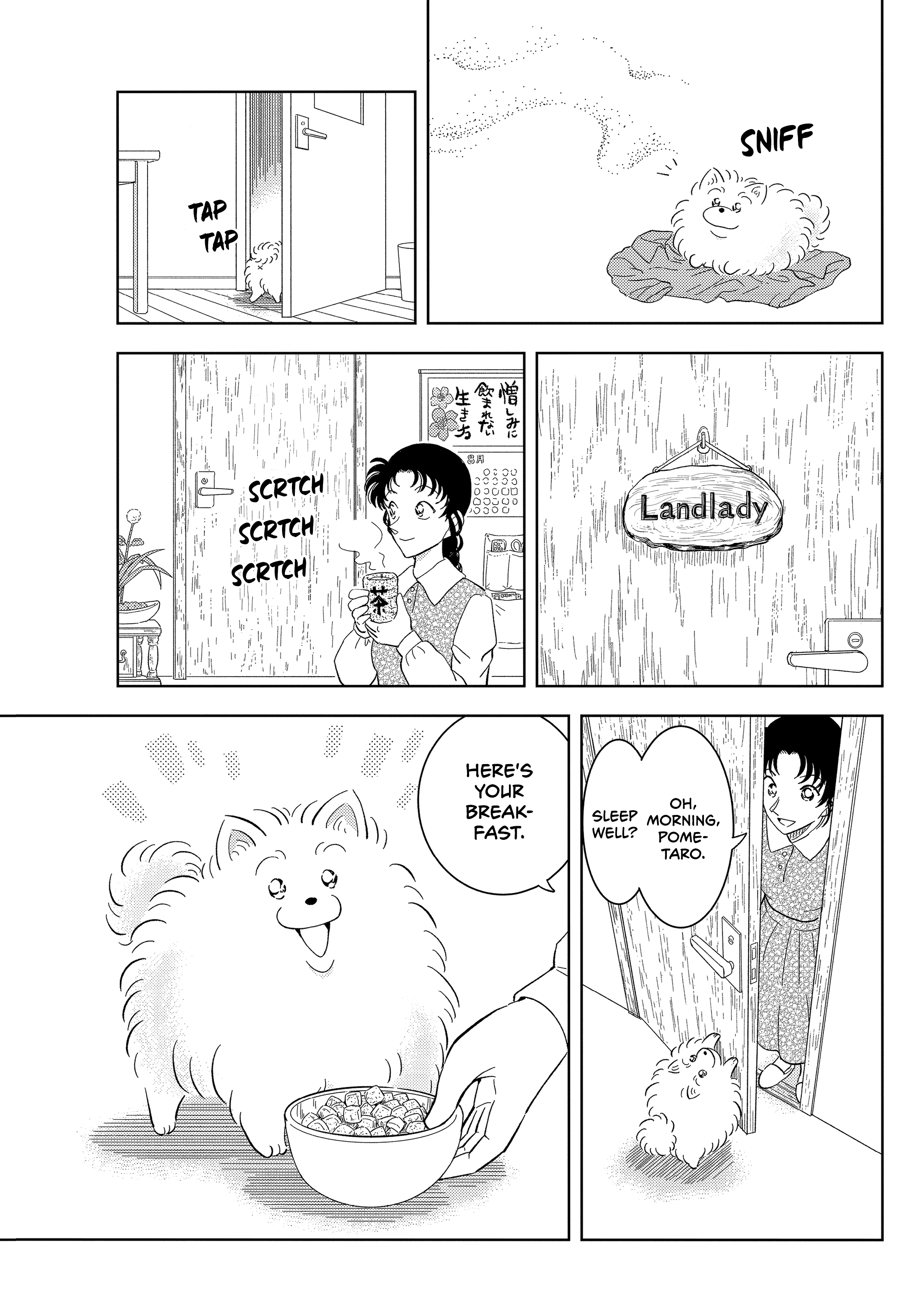 Detective Conan: The Culprit Hanzawa The Most Peaceful Day in Beika Town 第9页