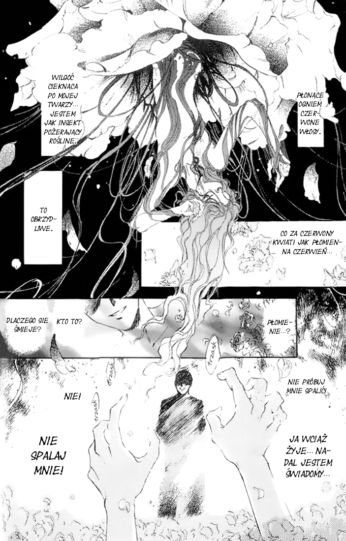 Kaine Kaine 第7页