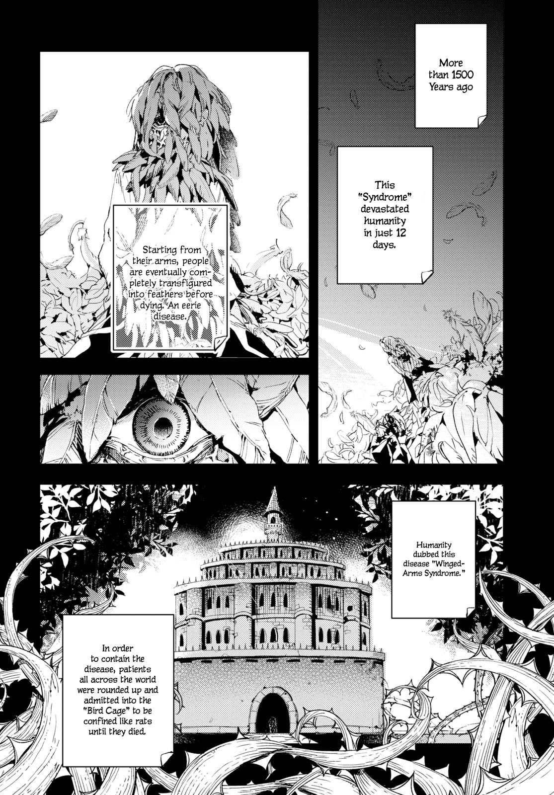 Angelic Syndrome Winged-Arms Syndrome 第13页
