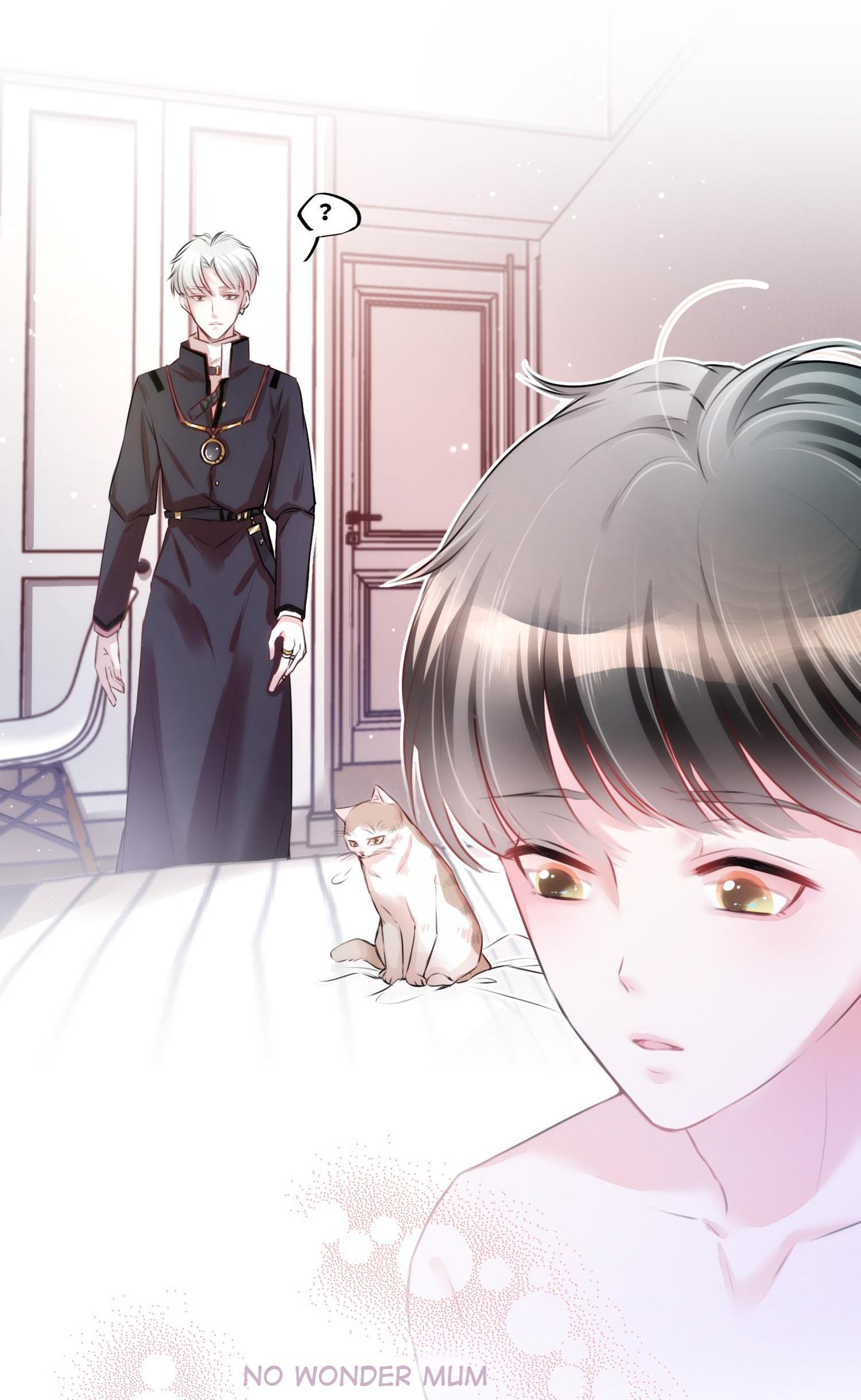 Shush! I'm Not Your Pet! The Risk Of Cutting Yan Family's Bloodline? 第13页