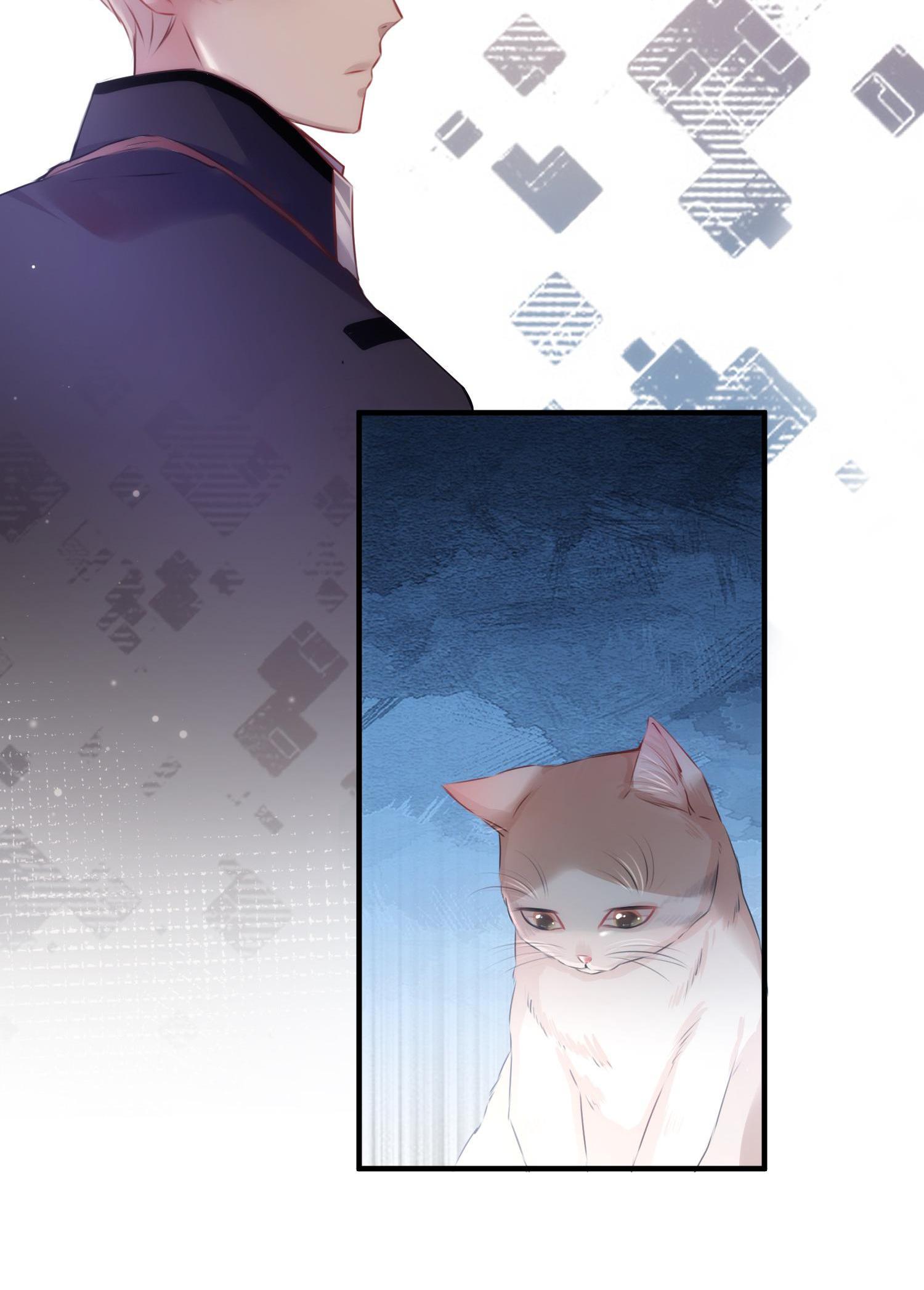 Shush! I'm Not Your Pet! The Risk Of Cutting Yan Family's Bloodline? 第22页