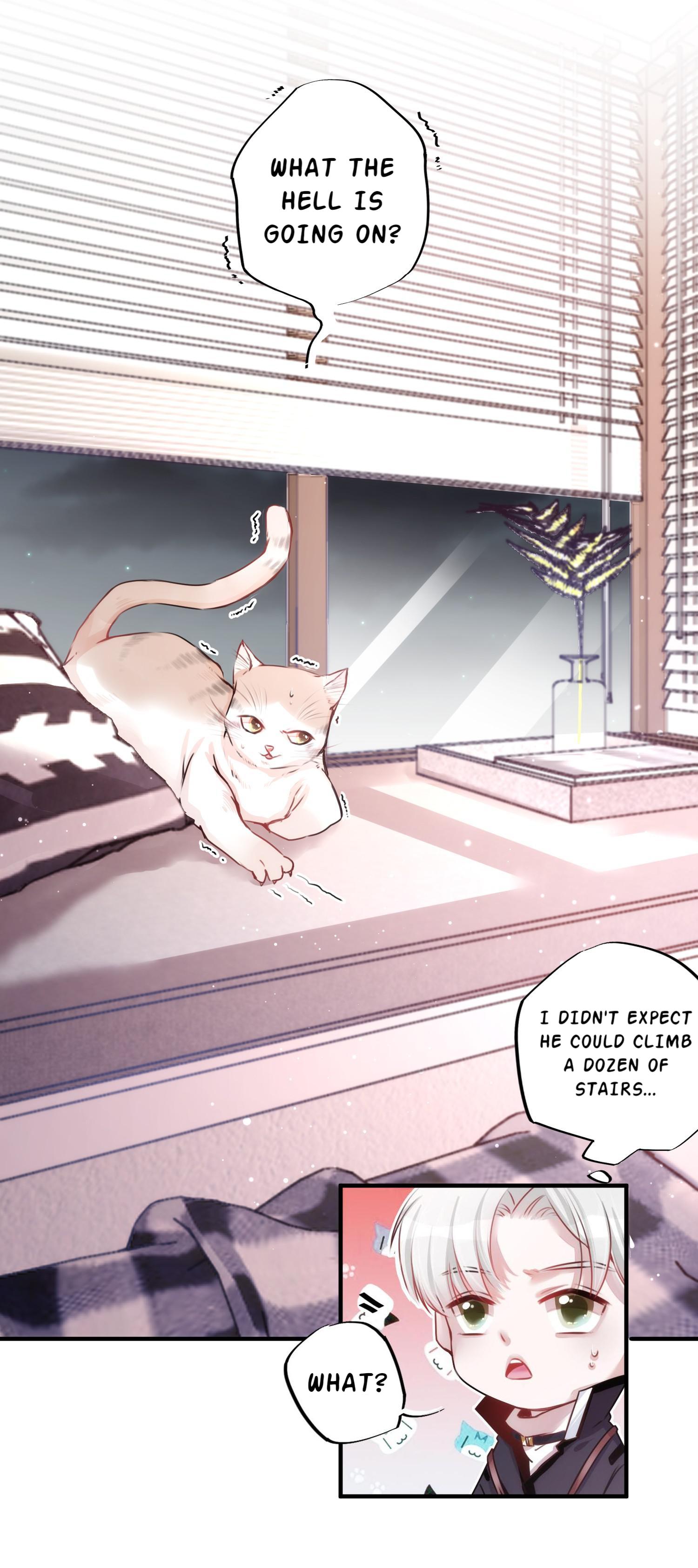 Shush! I'm Not Your Pet! The Risk Of Cutting Yan Family's Bloodline? 第8页