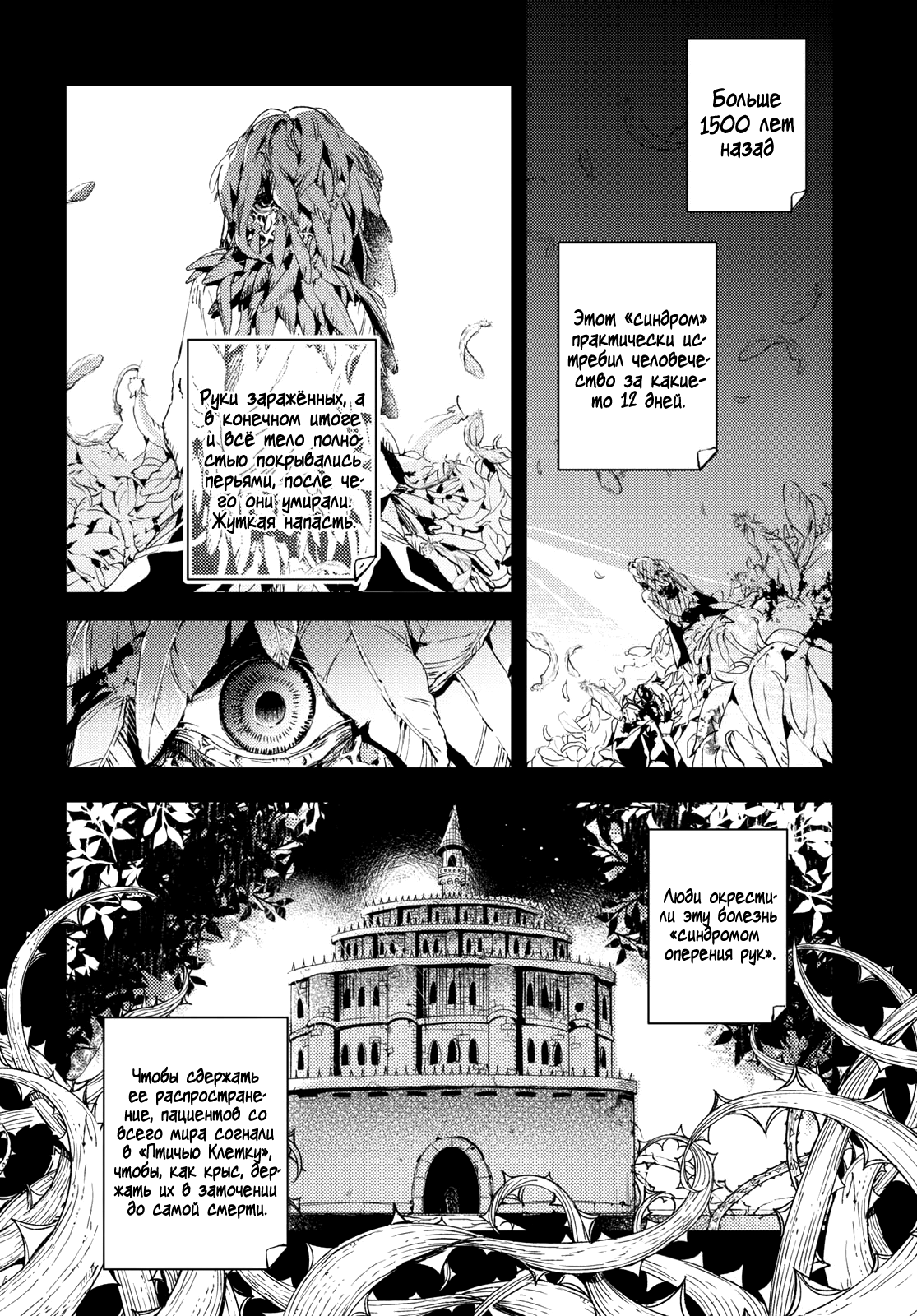 Angelic Syndrome Синдром оперения рук 第13页