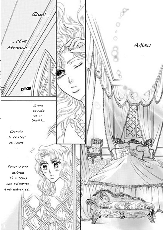 Sheikh no Ryakudatsu Ai Vol. 1 Ch. 2 第15页