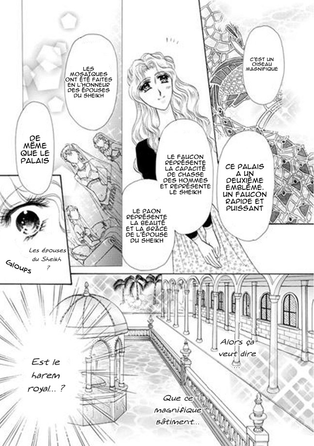 Sheikh no Ryakudatsu Ai Vol. 1 Ch. 2 第19页