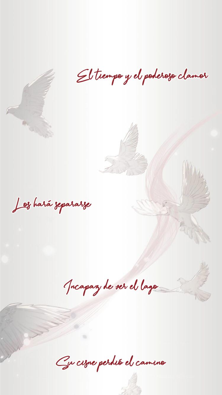 Indulged in Your Light Ch. 0 第12页