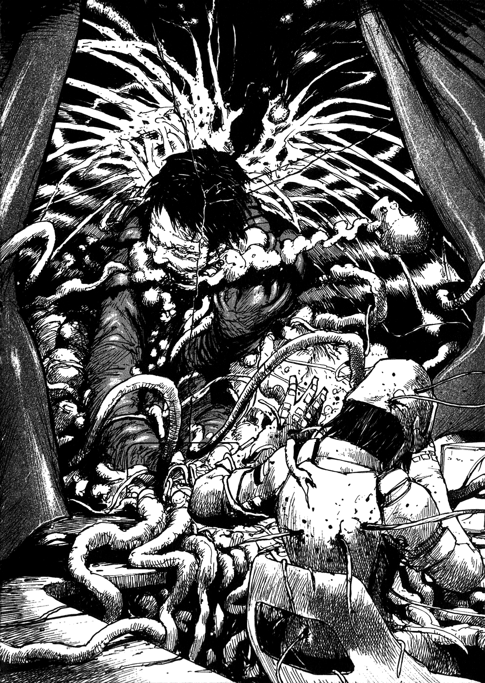 Abara Fehér Gauna 第11页