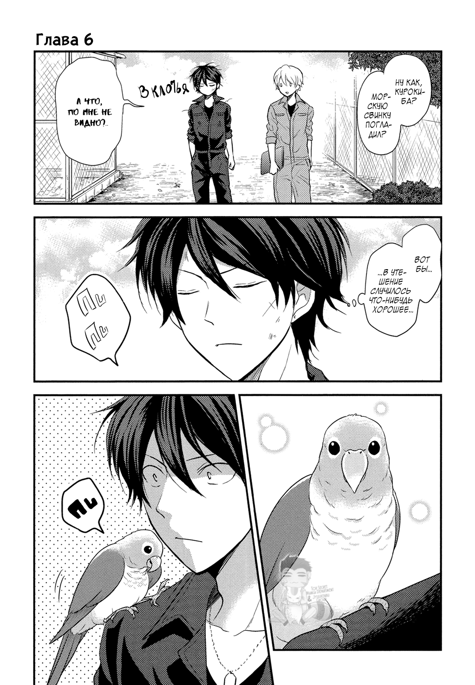 Seishun wa Juujuu da Попугай и разговоры 第2页