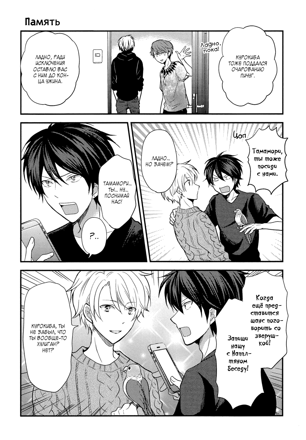 Seishun wa Juujuu da Попугай и разговоры 第12页