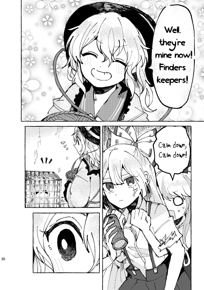 Touhou - Shima Wasshoi (Doujinshi) Oneshot 第29页