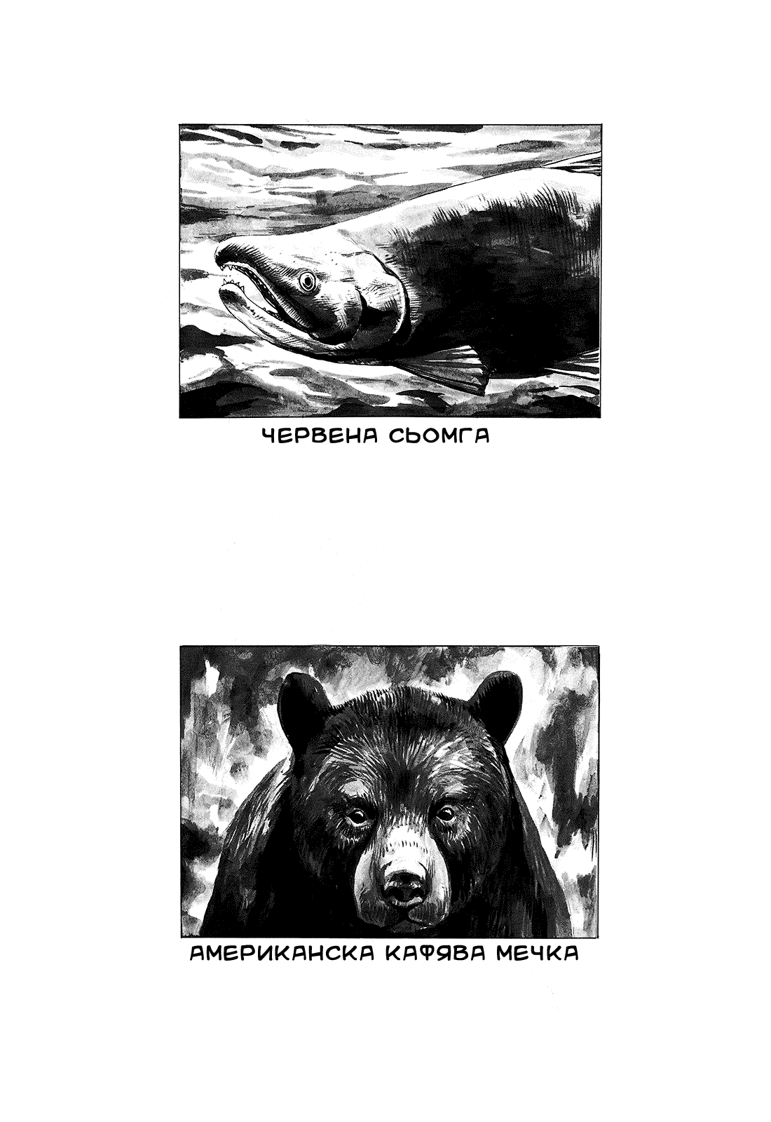 Gon Vol. 1 Ch. 1 第38页