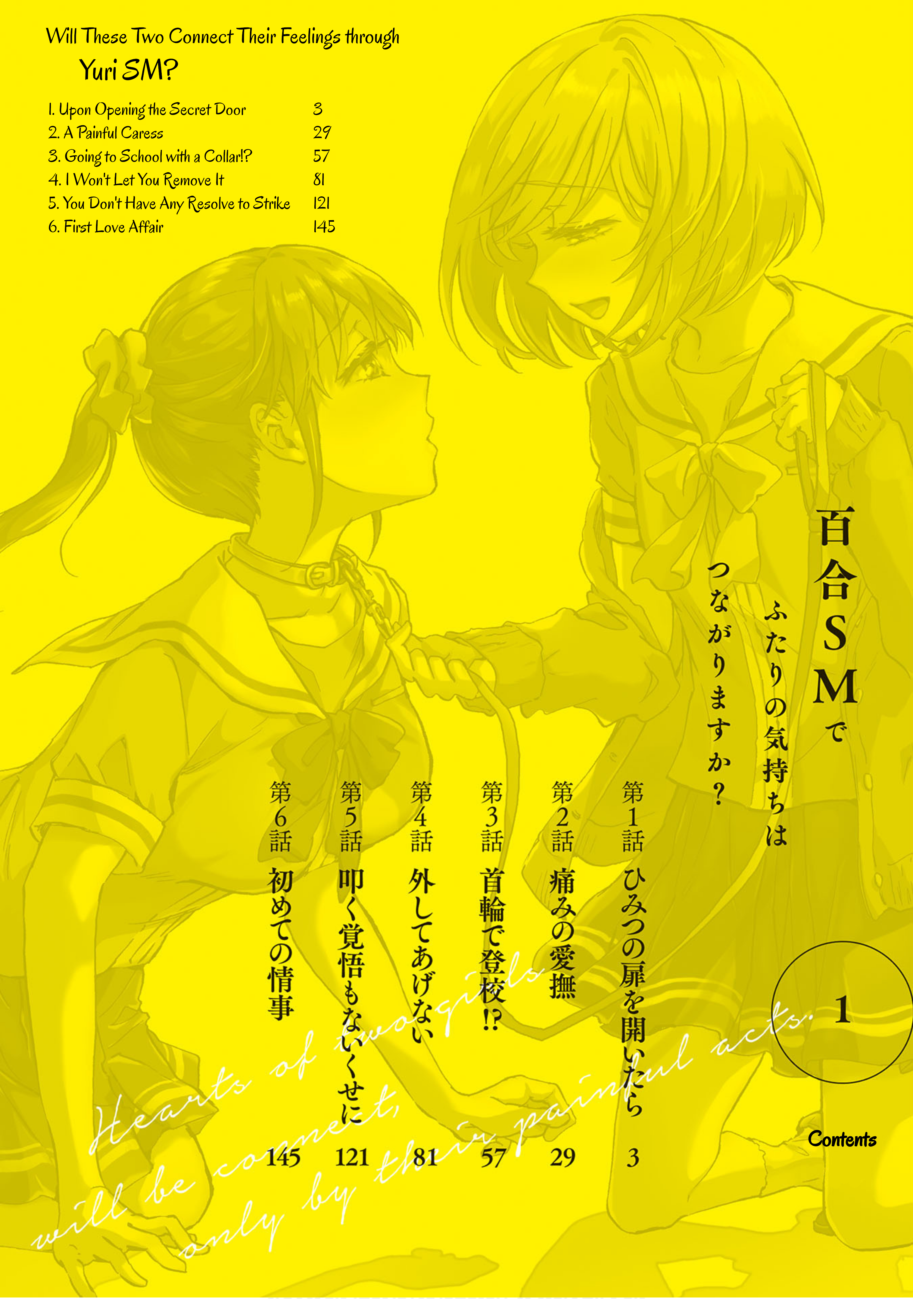 Yuri SM de Futari no Kimochi wa Tsunagarimasu ka? Upon Opening the Secret Door 第3页