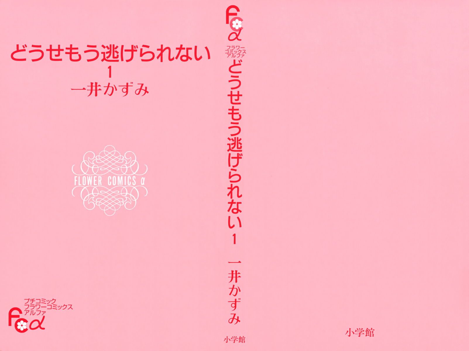I won't Runaway Anyway 第2页