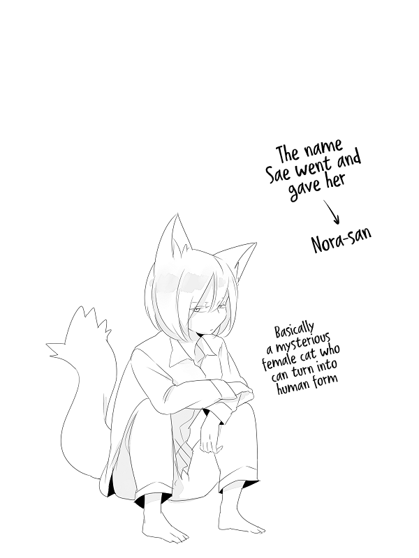Nora-san the Tsungire Cat Ch. 1 第17页