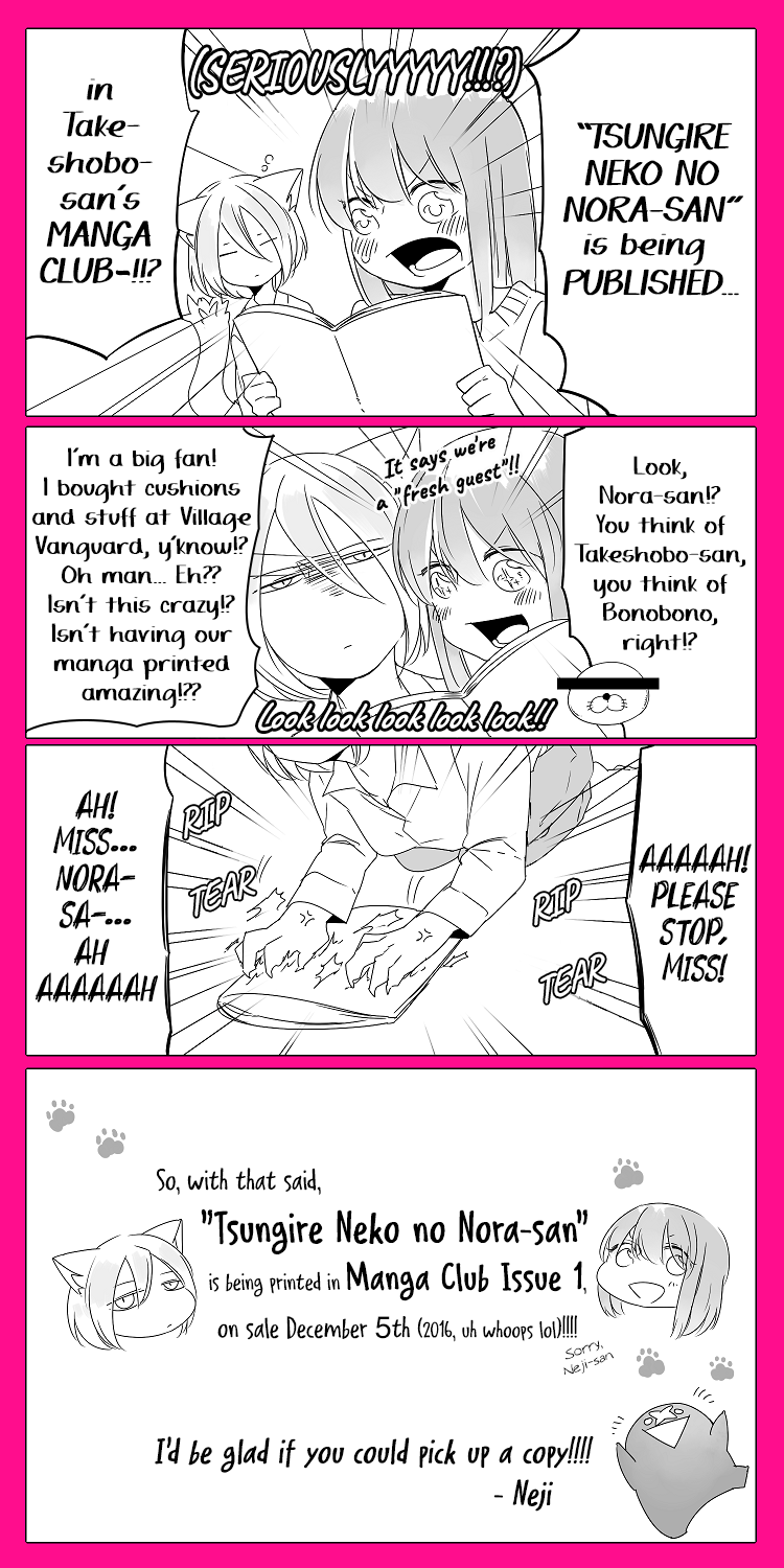 Nora-san the Tsungire Cat Ch. 1 第28页