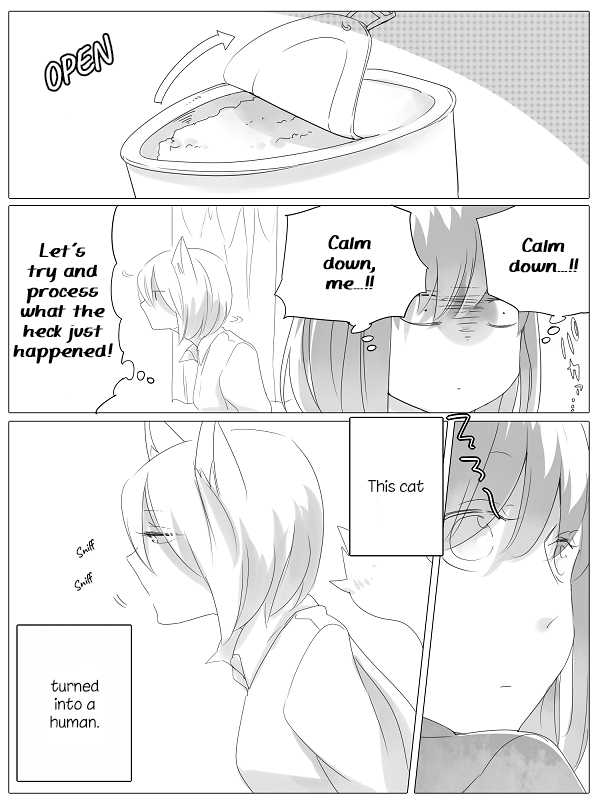 Nora-san the Tsungire Cat 第6页