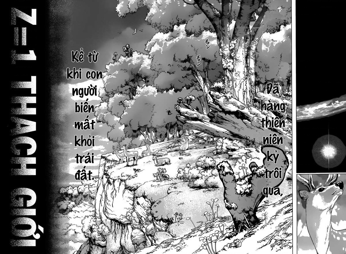 Dr.STONE Vol. 1 Ch. 1 第28页