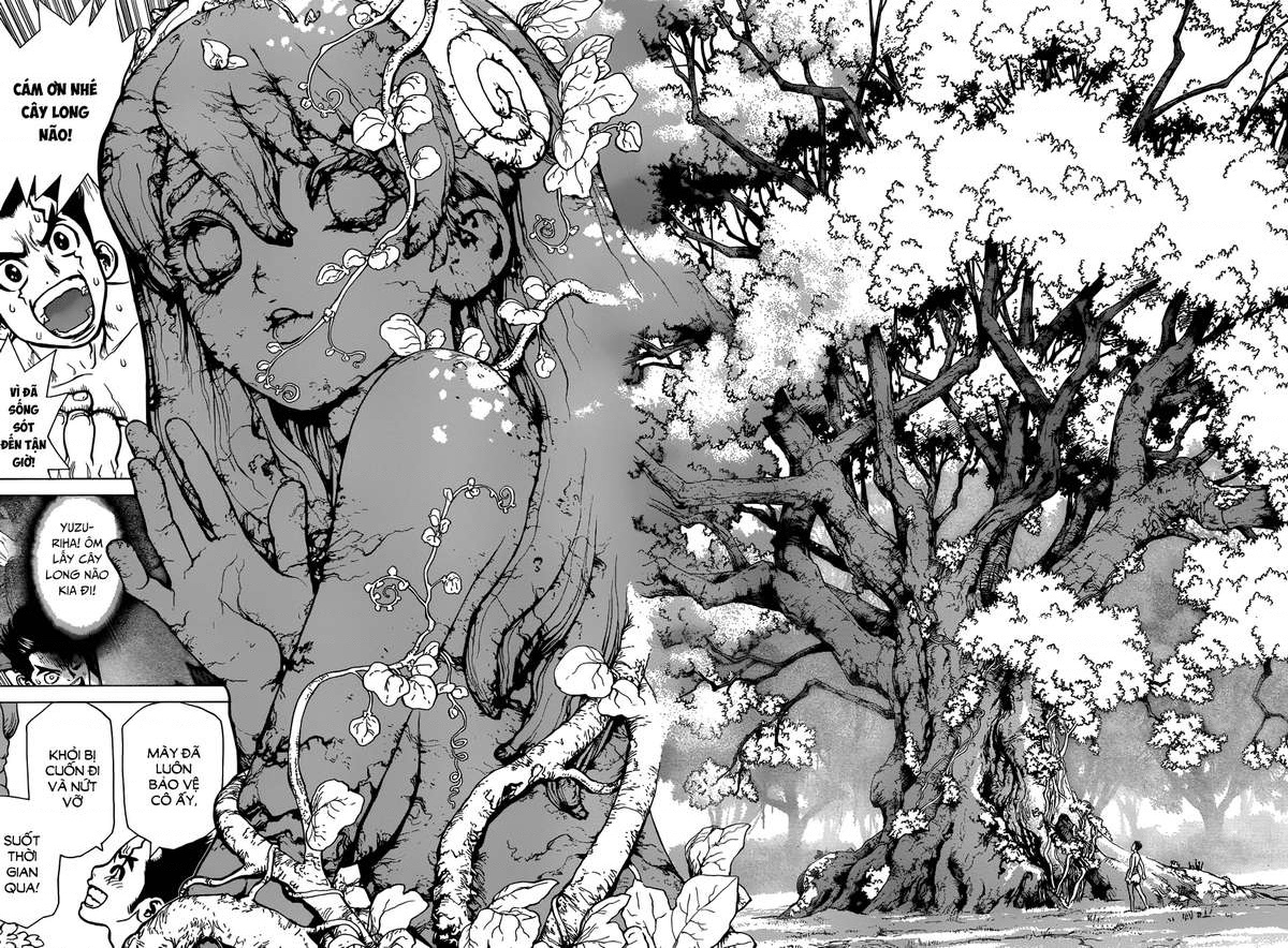 Dr.STONE Vol. 1 Ch. 1 第34页