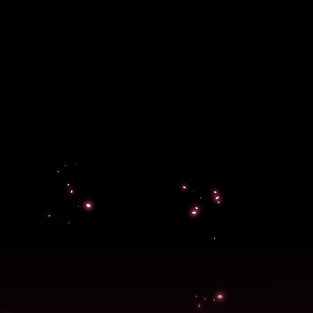 The Waste Female Demon God 第2页