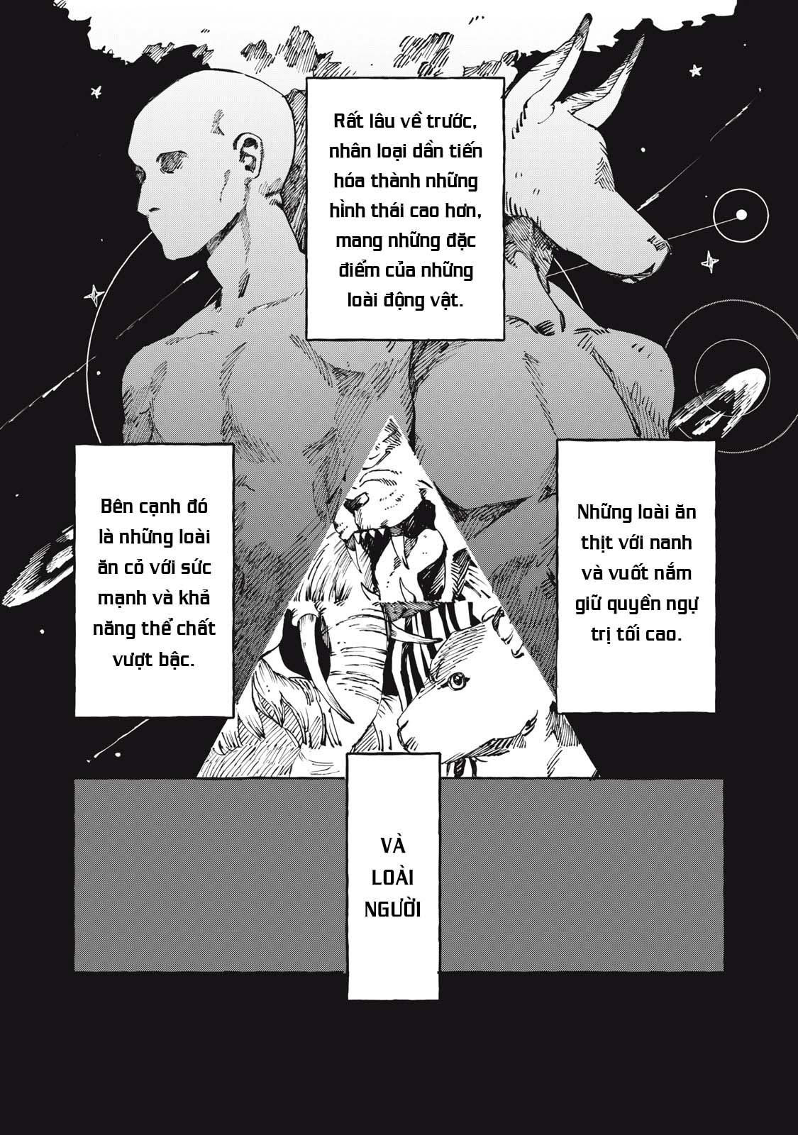 DOG MATIC Chó 第1页