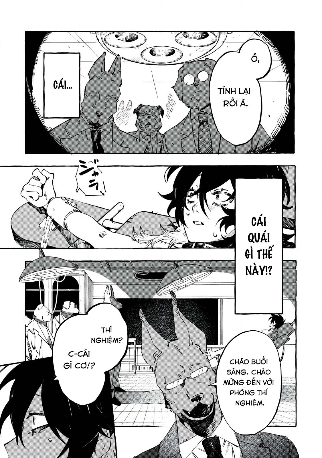 DOG MATIC Chó 第27页