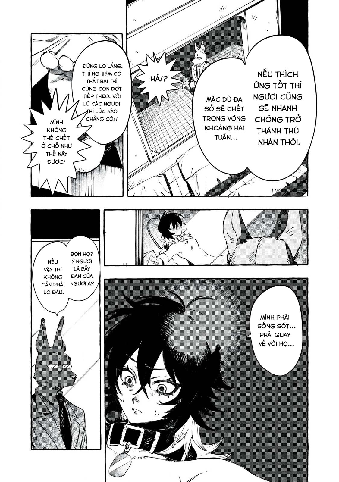 DOG MATIC Chó 第31页