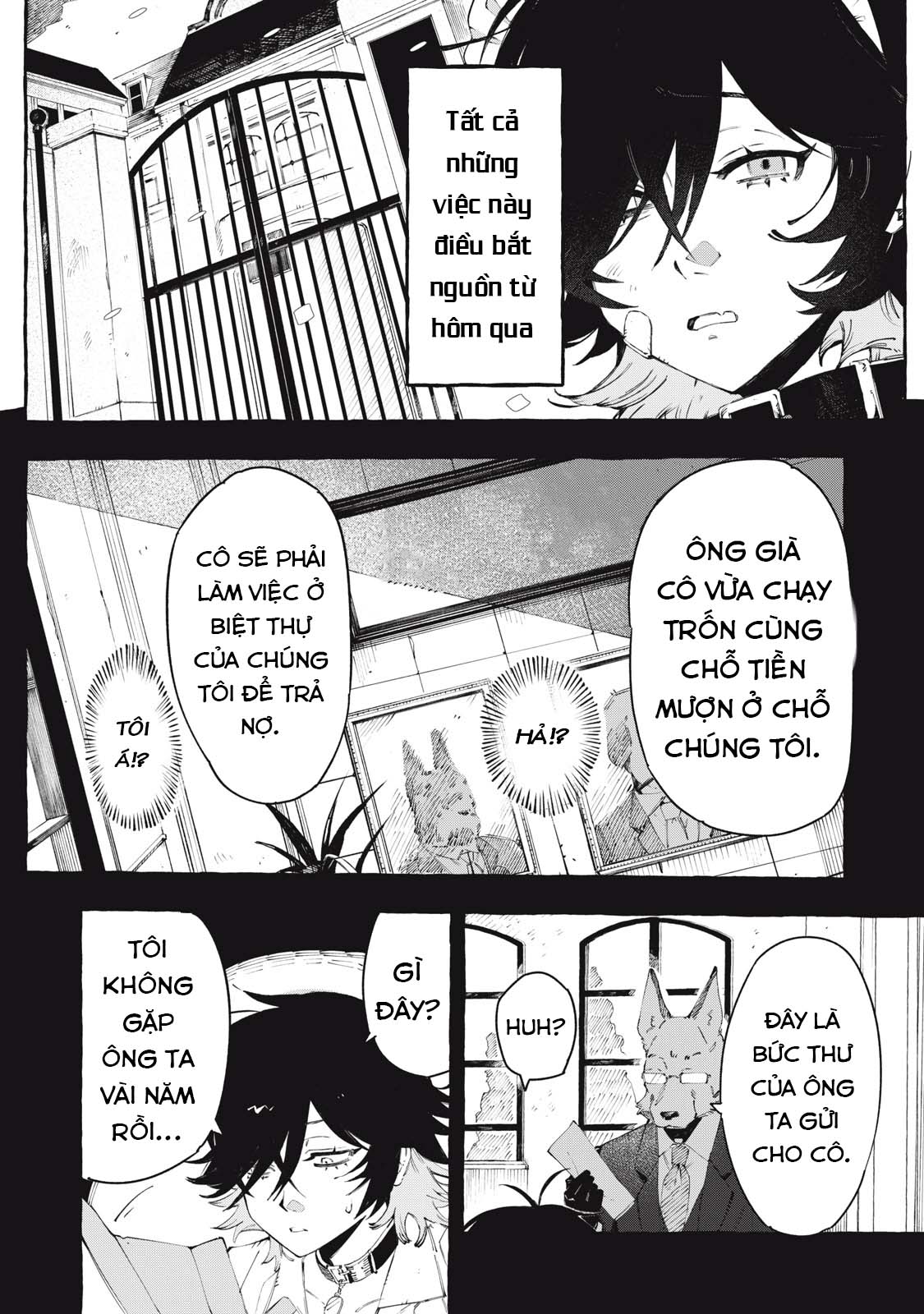 DOG MATIC Chó 第5页