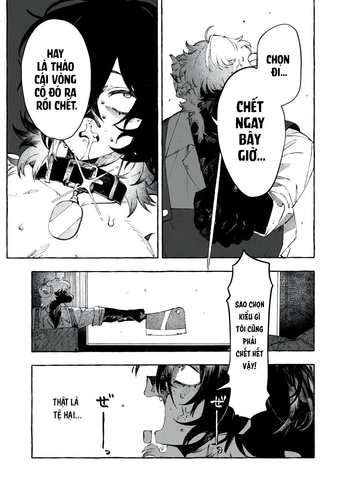 DOG MATIC Chó 第42页