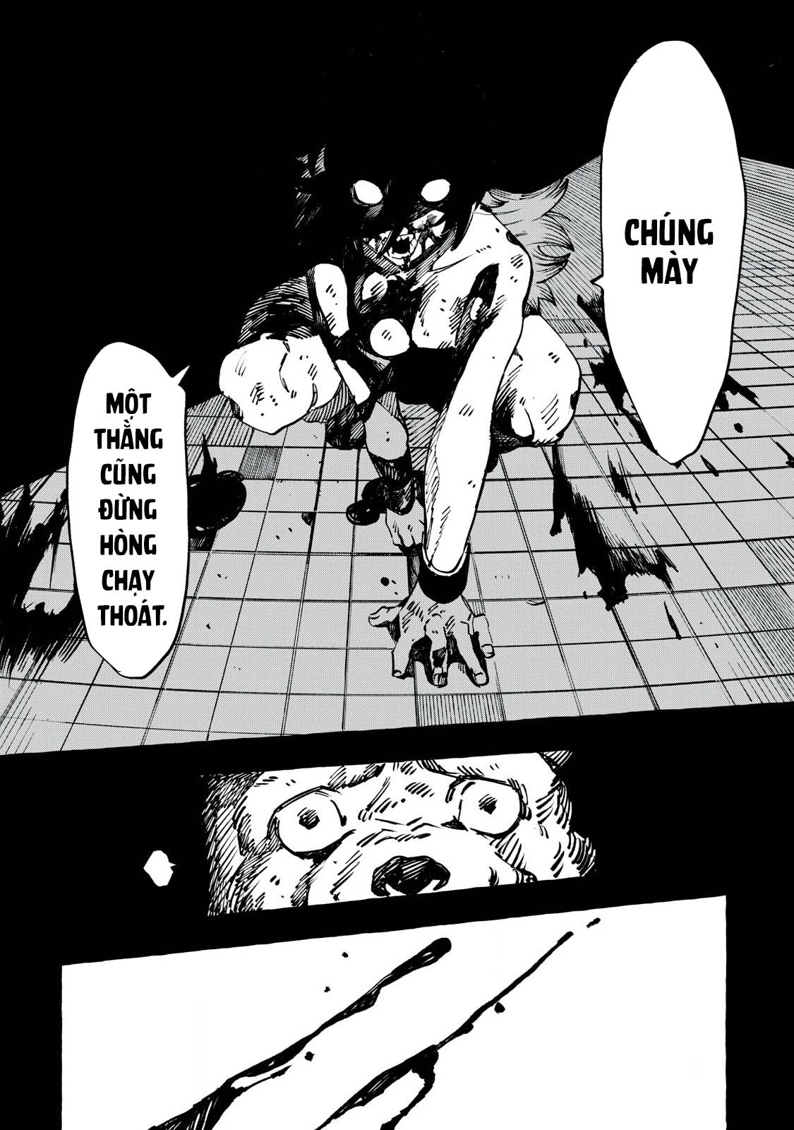 DOG MATIC Chó 第49页