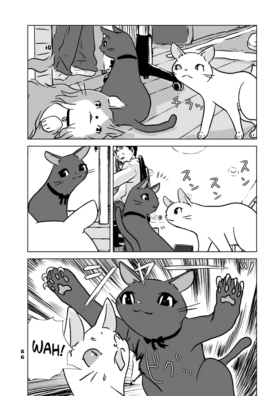 No cats were harmed in this comic. Let's stay here 第10页