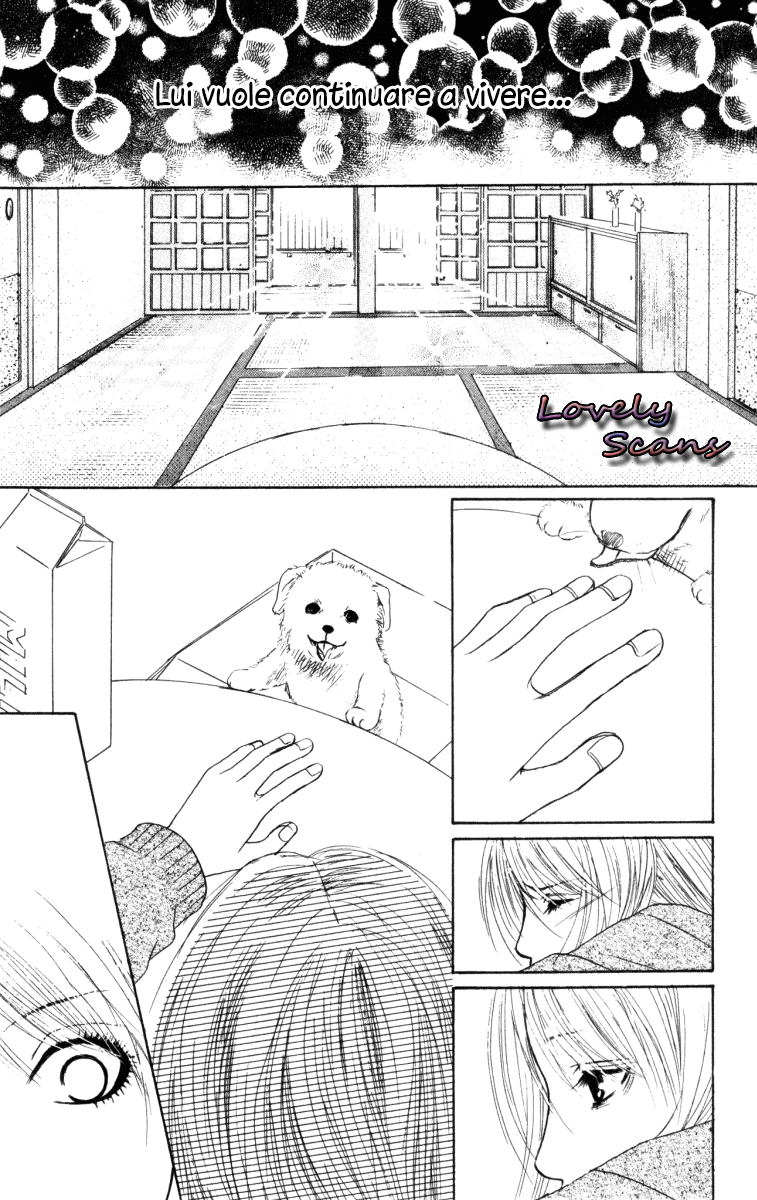 Deep Love - Ayu no Monogatari Vol. 1 Ch. 1 第49页