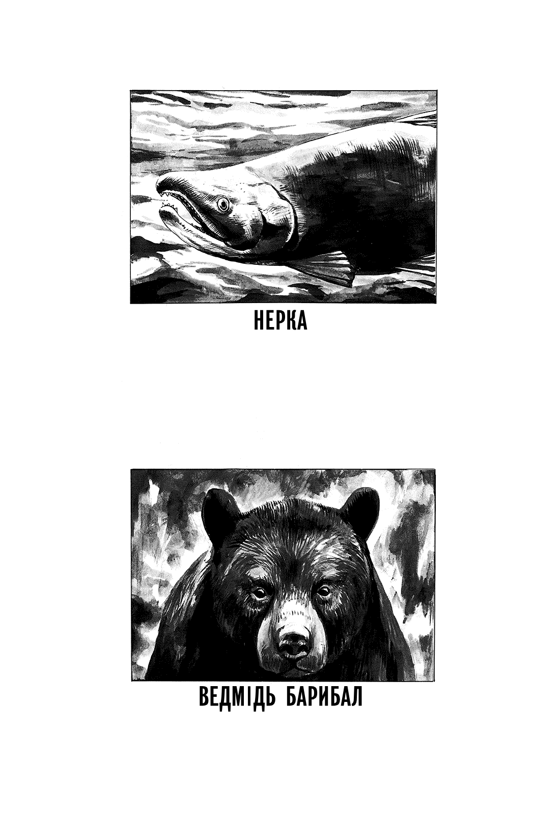 Gon Ґон їсть і спить 第35页