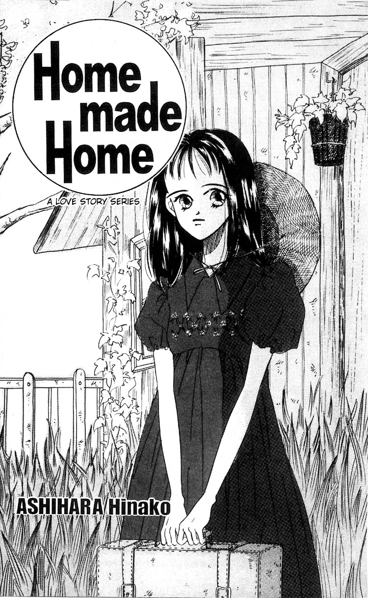 Homemade Home 第3页