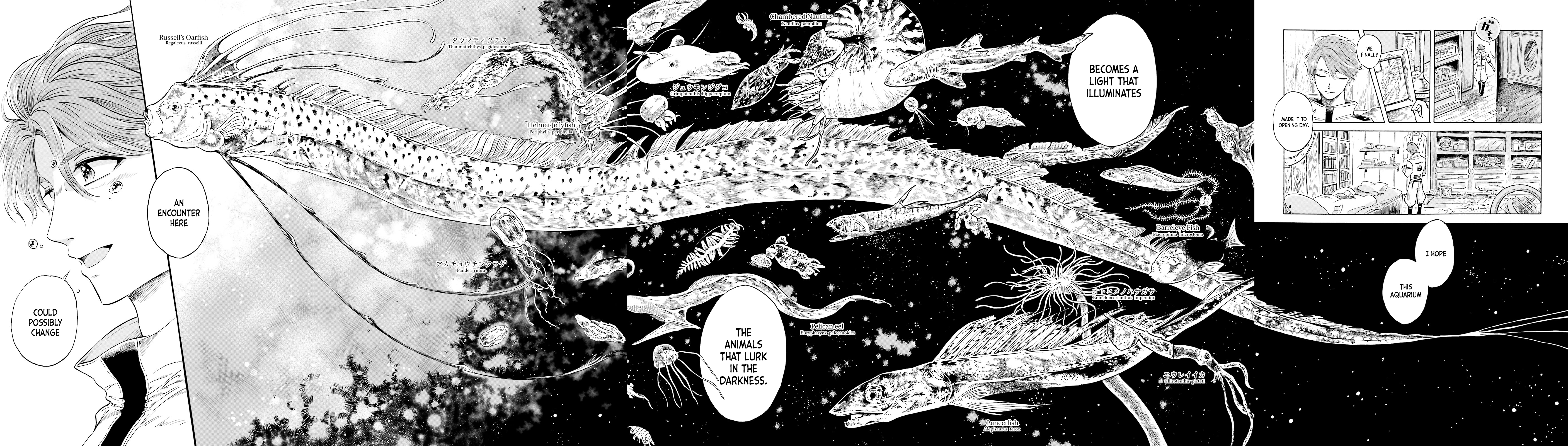 Magmell Shinkai Suizokukan Giant Squid 第12页
