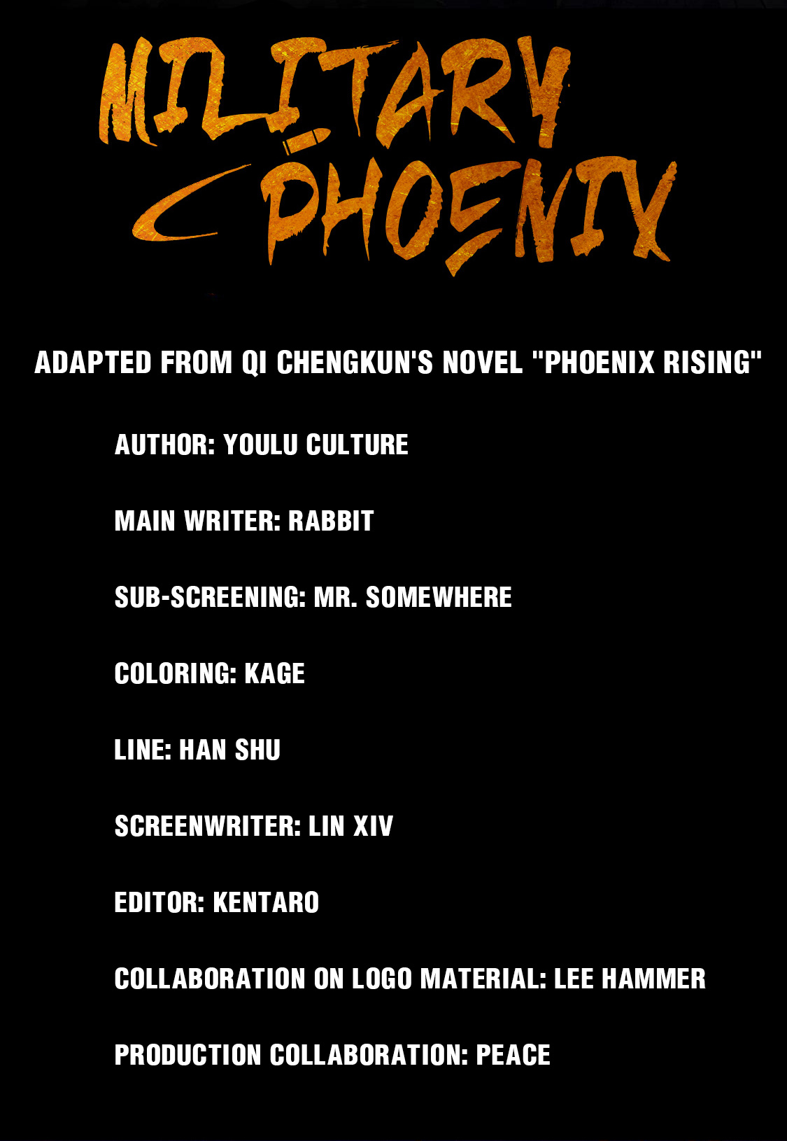 Military Phoenix 第8页