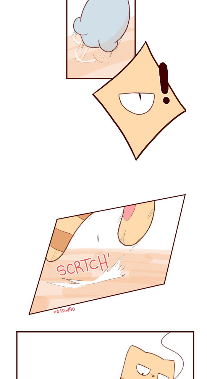Saphie: The One-Eyed Cat Ch. 3 第3页