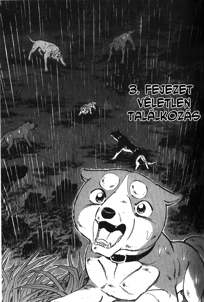Ginga Densetsu Riki Véletlen találkozás 第2页