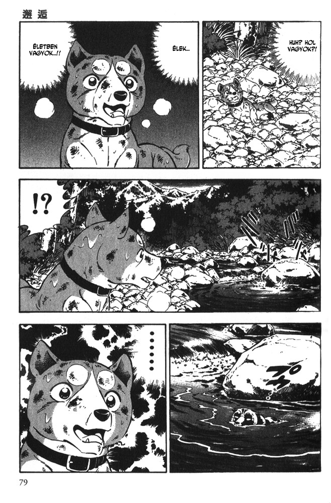 Ginga Densetsu Riki Véletlen találkozás 第12页
