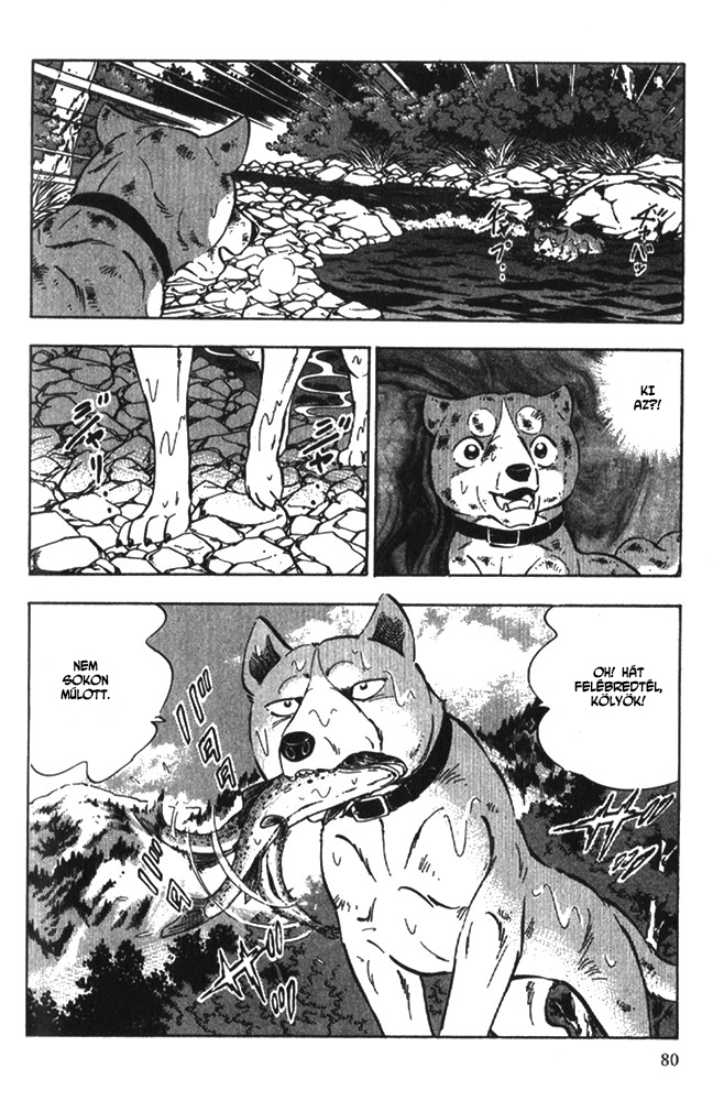 Ginga Densetsu Riki Véletlen találkozás 第13页