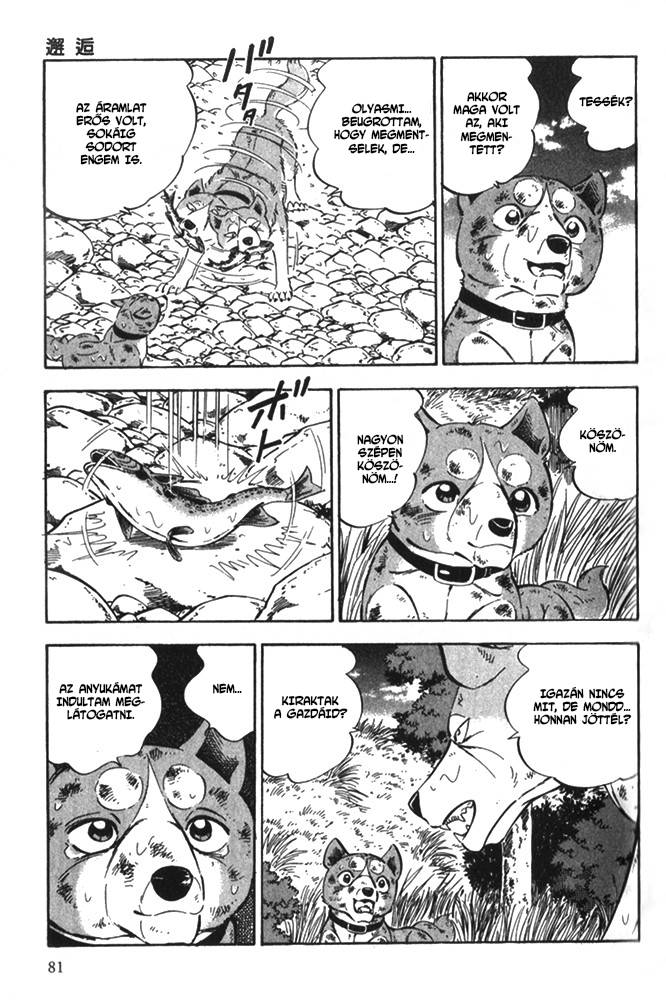 Ginga Densetsu Riki Véletlen találkozás 第14页