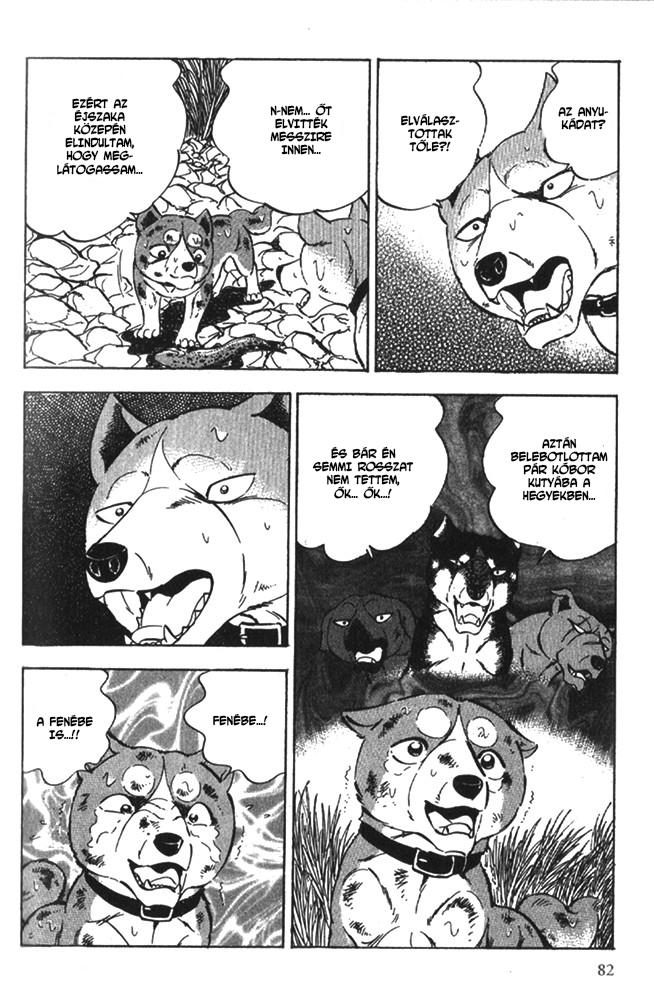 Ginga Densetsu Riki Véletlen találkozás 第15页