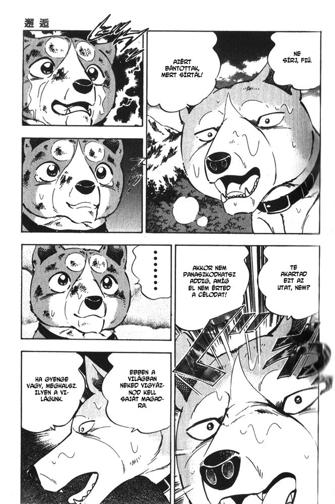 Ginga Densetsu Riki Véletlen találkozás 第16页