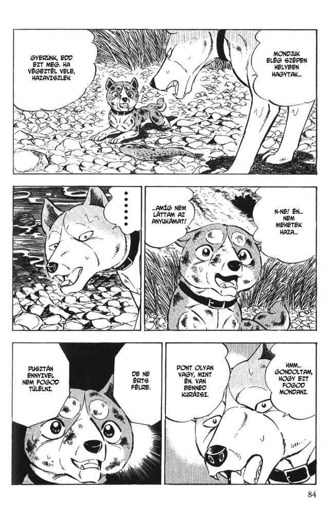Ginga Densetsu Riki Véletlen találkozás 第17页