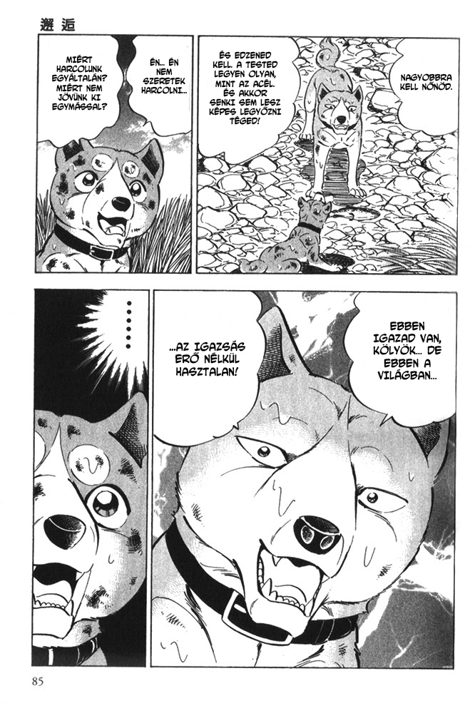 Ginga Densetsu Riki Véletlen találkozás 第18页