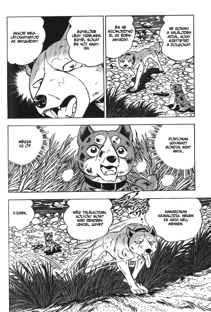Ginga Densetsu Riki Véletlen találkozás 第19页