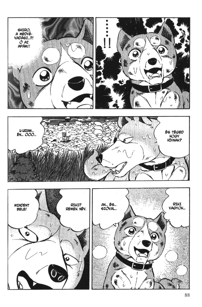Ginga Densetsu Riki Véletlen találkozás 第21页