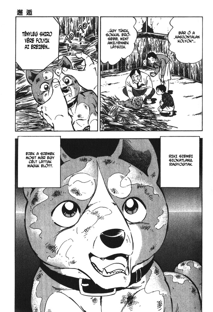 Ginga Densetsu Riki Véletlen találkozás 第24页