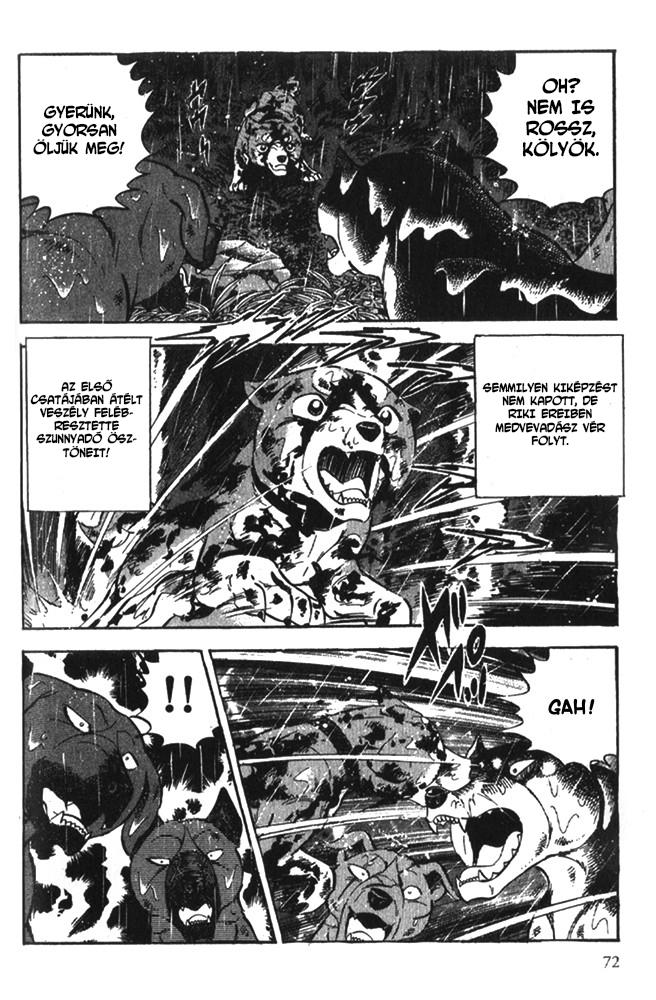 Ginga Densetsu Riki Véletlen találkozás 第5页