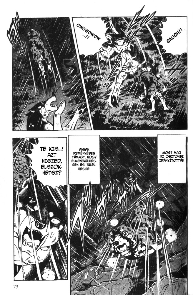 Ginga Densetsu Riki Véletlen találkozás 第6页